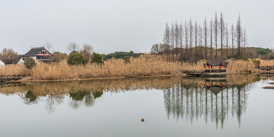 【沙家浜映畫(huà):2019年春節(jié)拍攝于常熟市沙家浜蘆葦蕩風(fēng)景區(qū)攝影圖片】風(fēng)光